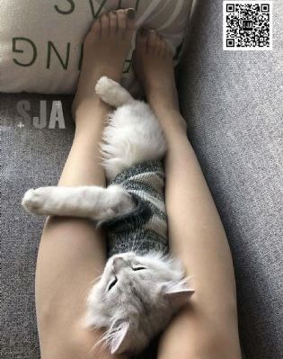 2019年欧美dj_高清版完整版未删减