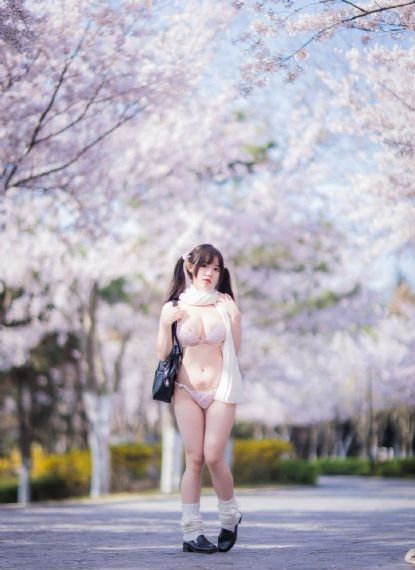 日韩精品区在线观看_DVD电视剧在线观看